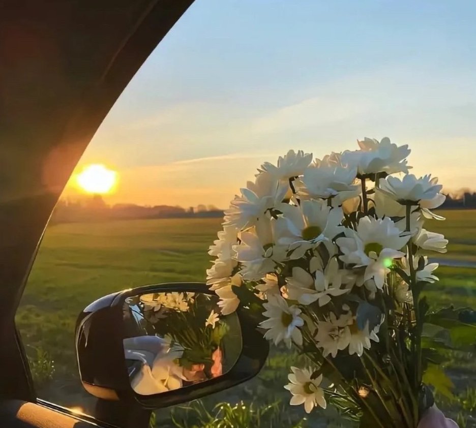 MuttSince's tweet image. Good morning, there is always something more important that gives us the courage to defeat our fears.