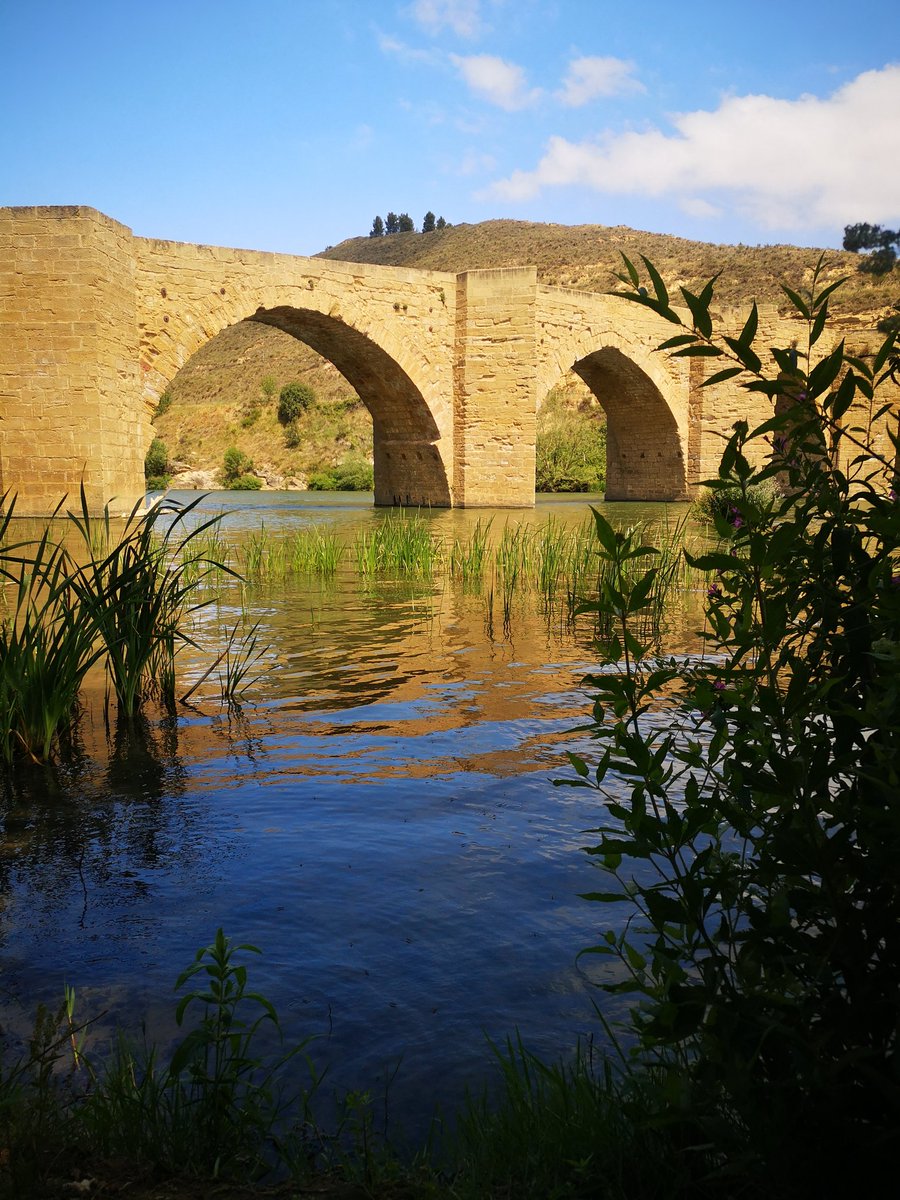 nucleololailo's tweet photo. A relax-stop on my way home
#afterworks #EbroRiver https://t.co/oIe9RNJ5SB