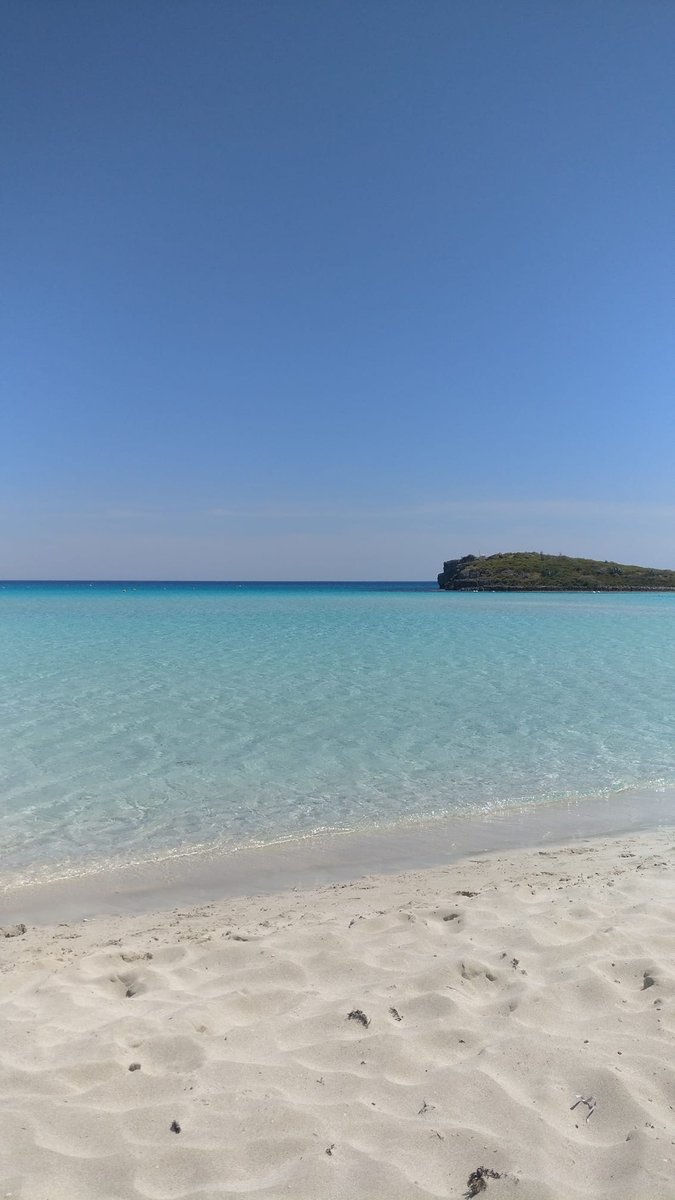 Andria Shimi tweet media