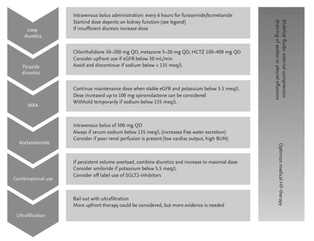 Leo_Santo5's tweet photo. Diuréticos, sitio de acción y uso en sobrecarga hidrica 💧⚠️

#SoMEL #MedEd #MedTwitter #Basics #MedTips #FOAMed https://t.co/lwkYXexnNr