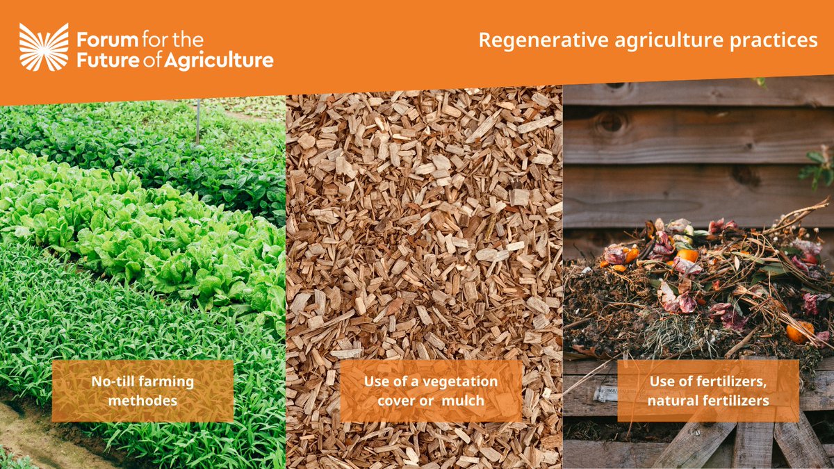 As we have seen there is no real definition of #RegenerativeAgriculture but there are examples of practices like:
🌻#Polyculture, #CropRotation
🌻#Contourfarming
🌻#PerennialCrops

And many others 👇