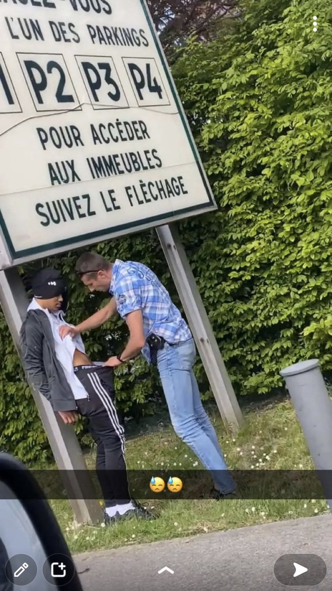 Rolio🪽 tweet media