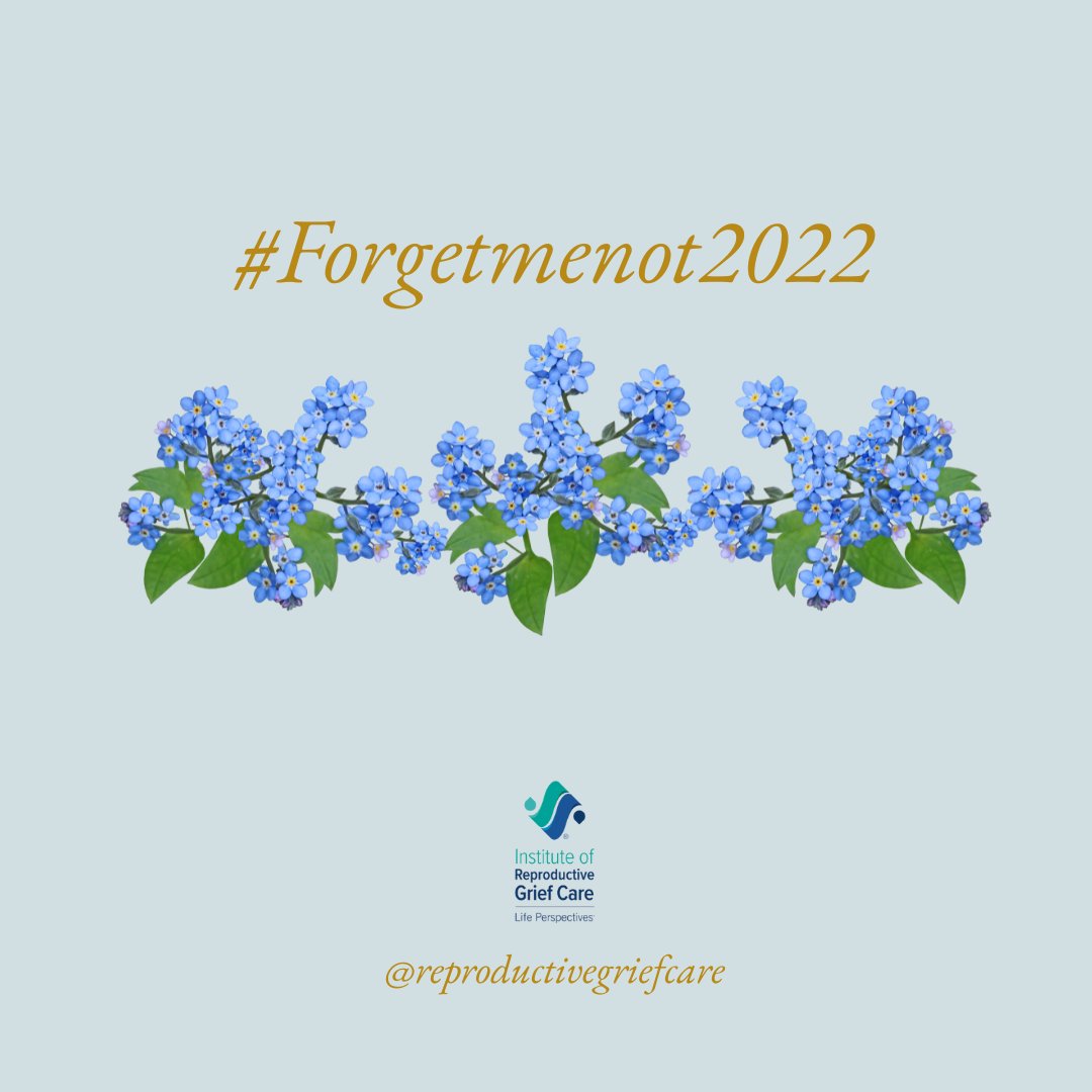 PregnancyGrief's tweet photo. Have you heard of the #ForgetMeNotflower? This flower is a symbol to remember those impacted by pregnancy & reproductive loss.
You can purchase Forget Me Not accessories, including bracelets, pins, on our Amazon shop! Click here https://t.co/Pr1WS37PrT https://t.co/drykfIWoZz