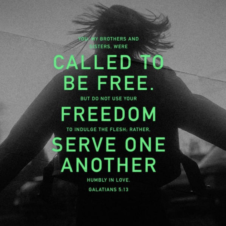 Scripture of the Day

ImageMakersMinistries.com

#freedom #livinginfreedom #calling #serve #service #calledtoserve #tuesday #tuesdaytransformation #scripture #scriptureoftheday #bibleverse  #Biblestudy #inspiration #transform #transformalife #imagemakers #wisdom #holy #God #Bible