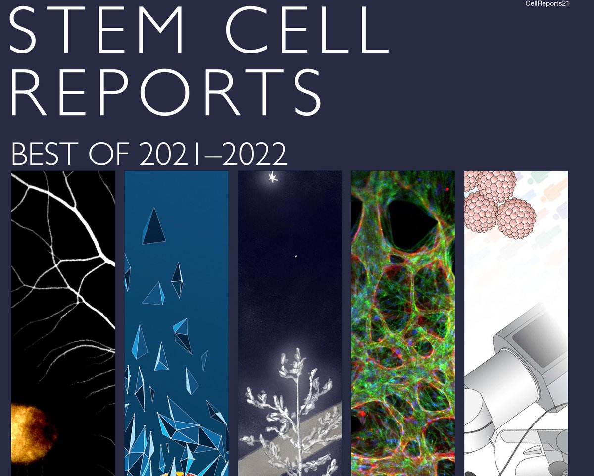 StemCellReports (@stemcellreports) on Twitter photo Catching up on weekend reading? Check out some of the editors favorite papers from the past year in the annual "Best Of" issue, bit.ly/3mFnnQ7. Includes papers from <a href="/IreneBow/">Irene Aksoy</a> <a href="/GMinchiotti/">gabriella minchiotti</a> Dominique Bonnet from <a href="/TheCrick/">The Francis Crick Institute</a>. <a href="/ISSCR/">ISSCR</a> <a href="/martinperaJAX/">Martin Pera</a> <a href="/CellPress/">Cell Press</a> Catching up on weekend reading? Check out some of the editors favorite papers from the past year in the annual "Best Of" issue, bit.ly/3mFnnQ7. Includes papers from <a href="/IreneBow/">Irene Aksoy</a> <a href="/GMinchiotti/">gabriella minchiotti</a> Dominique Bonnet from <a href="/TheCrick/">The Francis Crick Institute</a>. <a href="/ISSCR/">ISSCR</a> <a href="/martinperaJAX/">Martin Pera</a> <a href="/CellPress/">Cell Press</a>