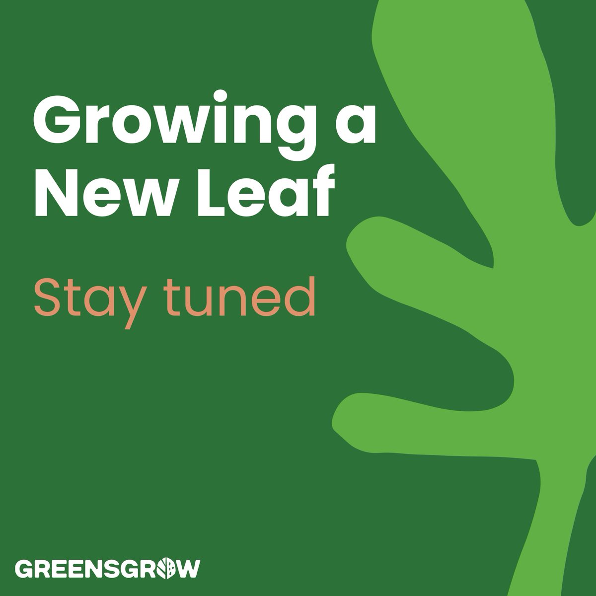 As we close our retail season at the Kensington location, we are ready to turn a new leaf and look forward to continuing to serve our #Philadelphia community —Stay tuned!🌱
#ThankYou #Philadelphia #GrowWithUs #HelpUsGrow #PlantingNewSeeds #SupportLocal #farm #garden #freshveggies