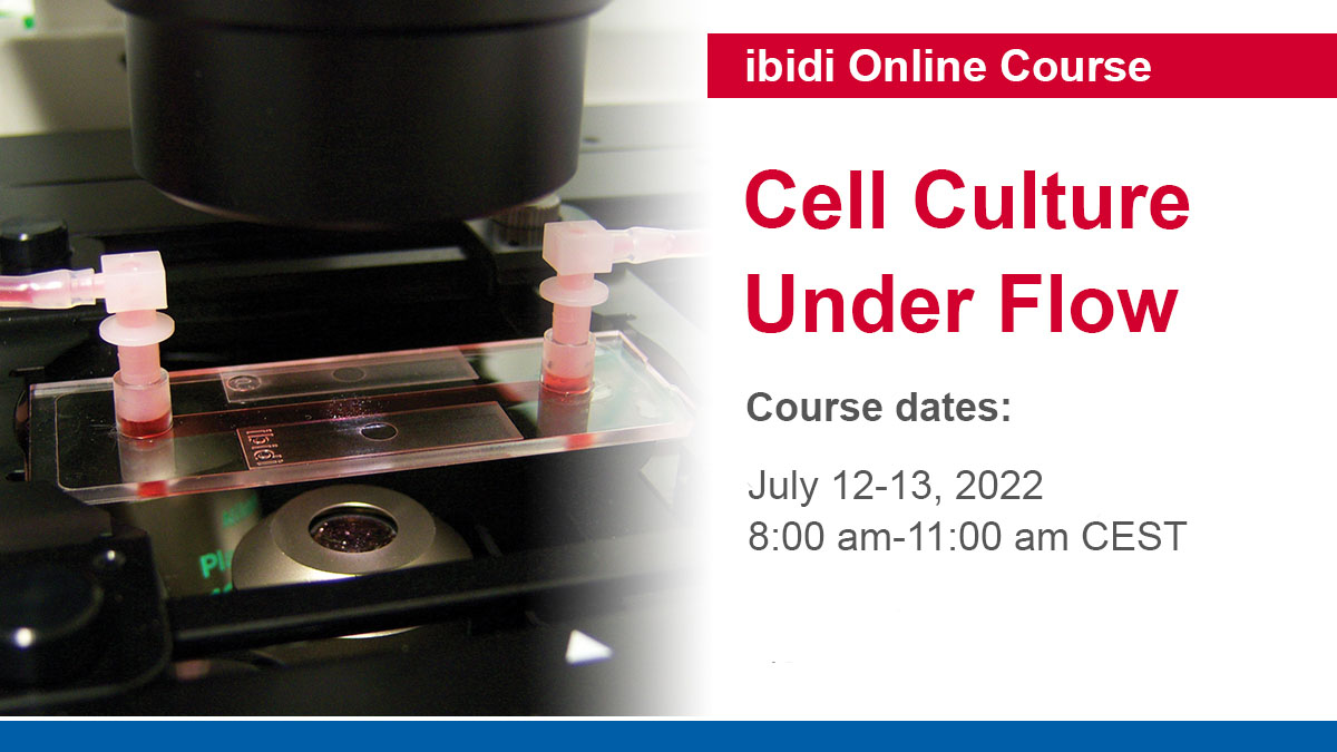 ibidiCells's tweet photo. We have a few open spots left in our next Cell Culture Under Flow online course. Register now to become an expert in flow assays: https://t.co/arCdXpu39A
#cellsunderflow #cellculture https://t.co/zZ3LlN6fY2