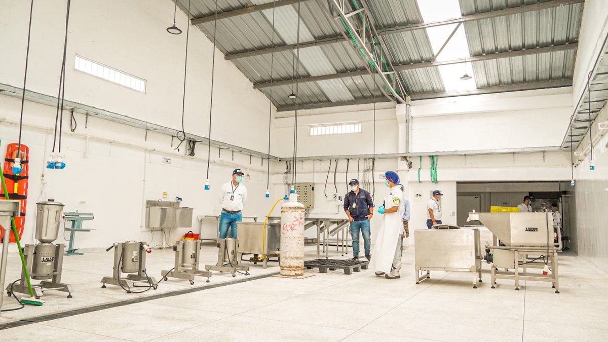 ADR_Colombia's tweet photo. #EsTiempoDeCreer en la estrategia #CosecheYVendaAlaFija👨‍🌾🥑👩‍🌾 En Manzanares #Caldas conocimos a uno de nuestros aliados comerciales, ellos son Agrofruits, empresa que trabaja en el procesamiento
y conservación de distintas frutas, verduras y legumbres. https://t.co/rhuRvdK7Mr