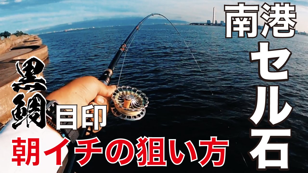 ローレル 黒鯛落とし込みヘチ釣り Piryofu Twitter