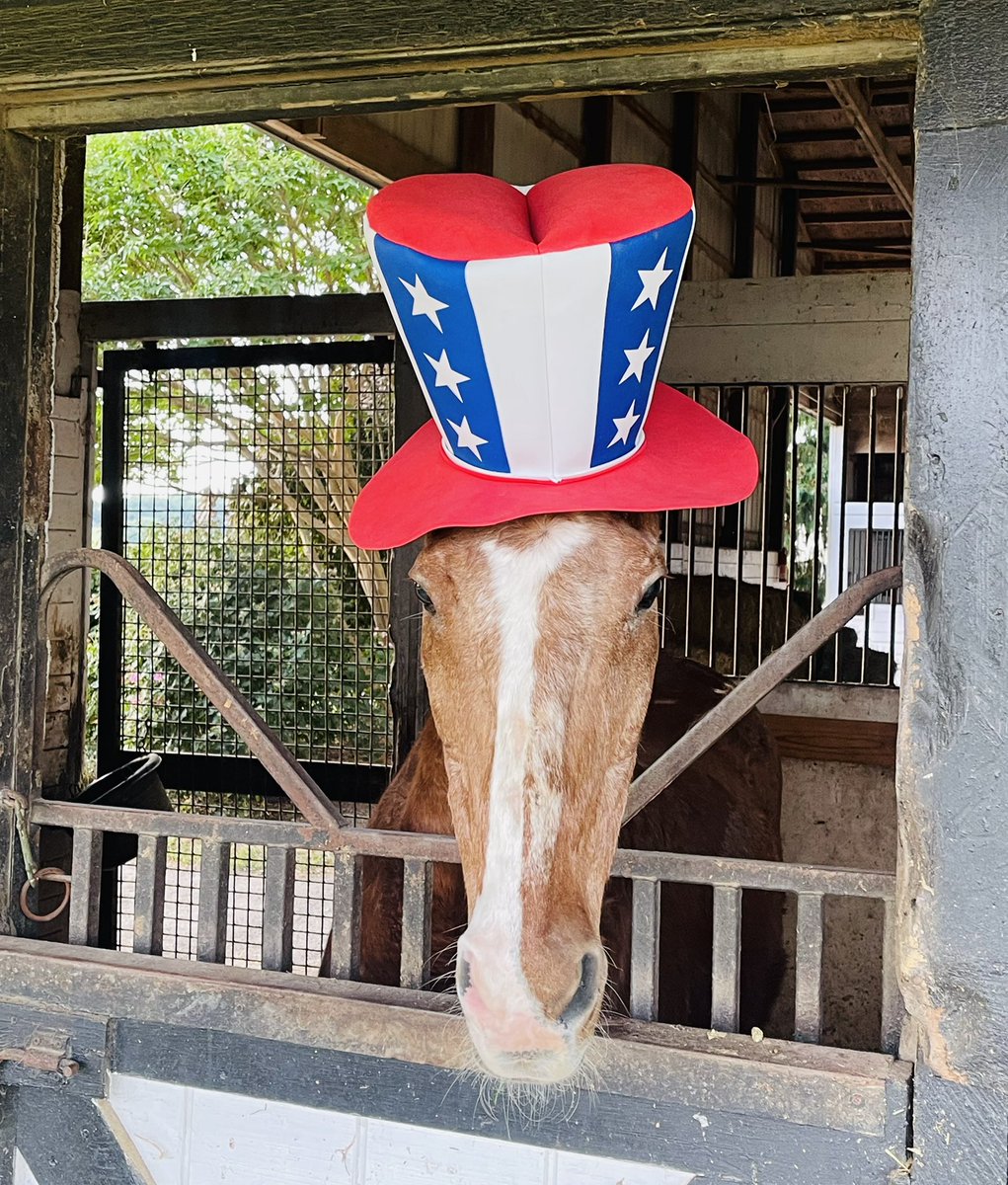 TheFoxieG's tweet photo. Hope everyone enjoyed the 4th as much as 31 year old Union Bridge did! 😂💥🇺🇸 #FoxieG https://t.co/437VZ7ffOl