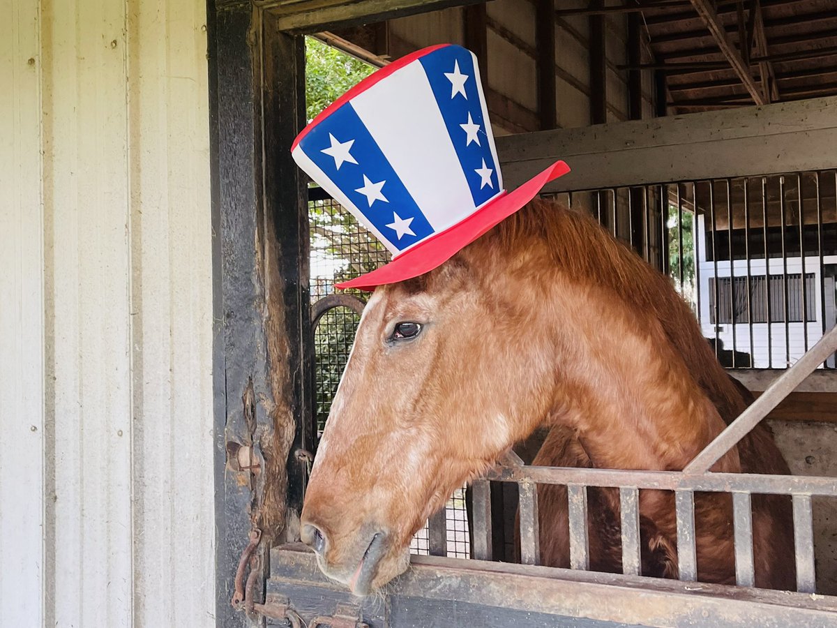 TheFoxieG's tweet photo. Hope everyone enjoyed the 4th as much as 31 year old Union Bridge did! 😂💥🇺🇸 #FoxieG https://t.co/437VZ7ffOl