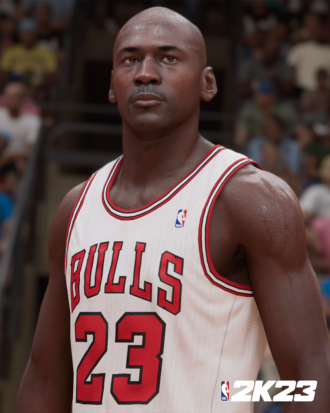 Michael Jordan Looks in NBA2K23 (90s MJ)