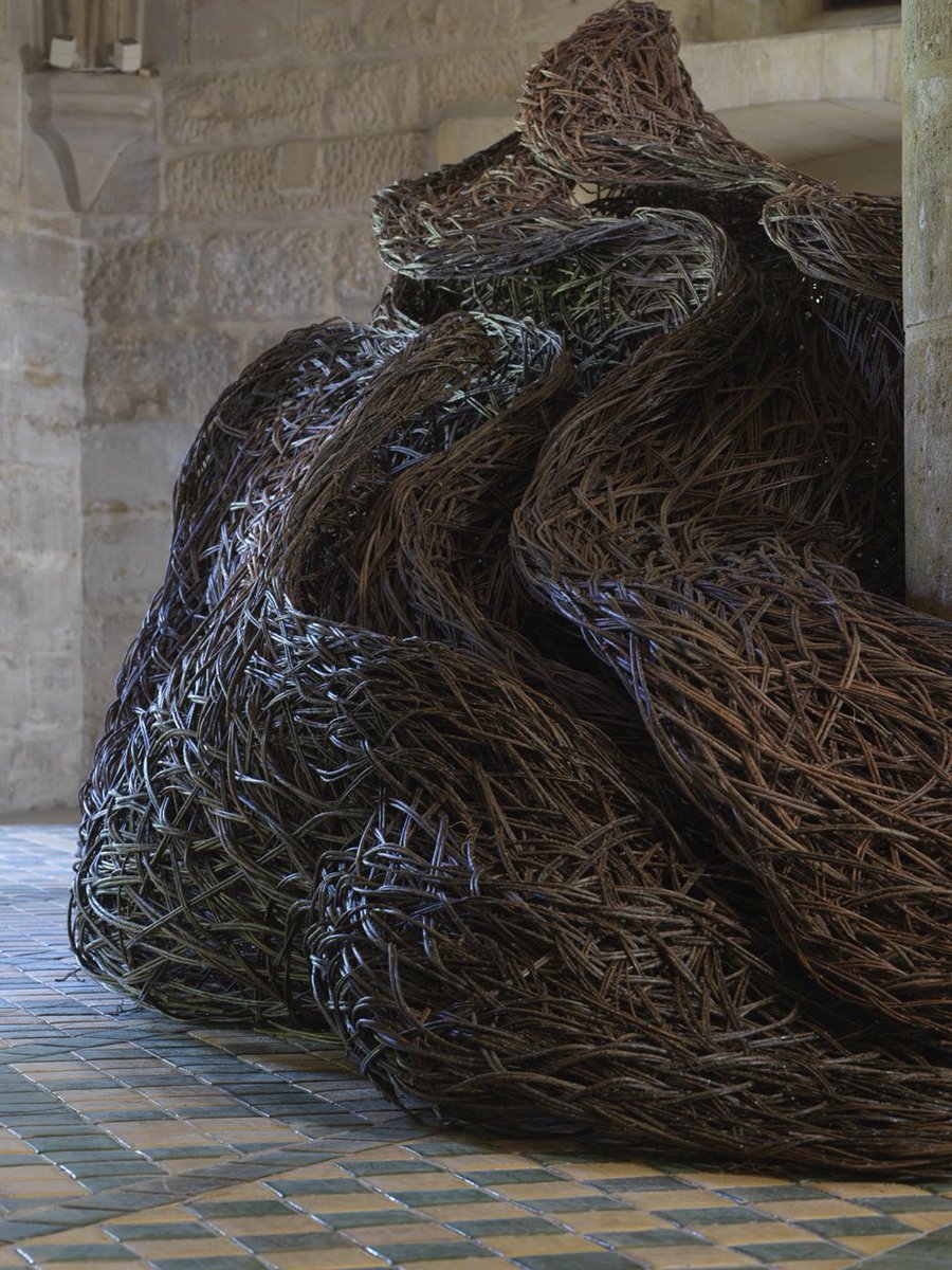 Laura Ellen Bacon tweet media