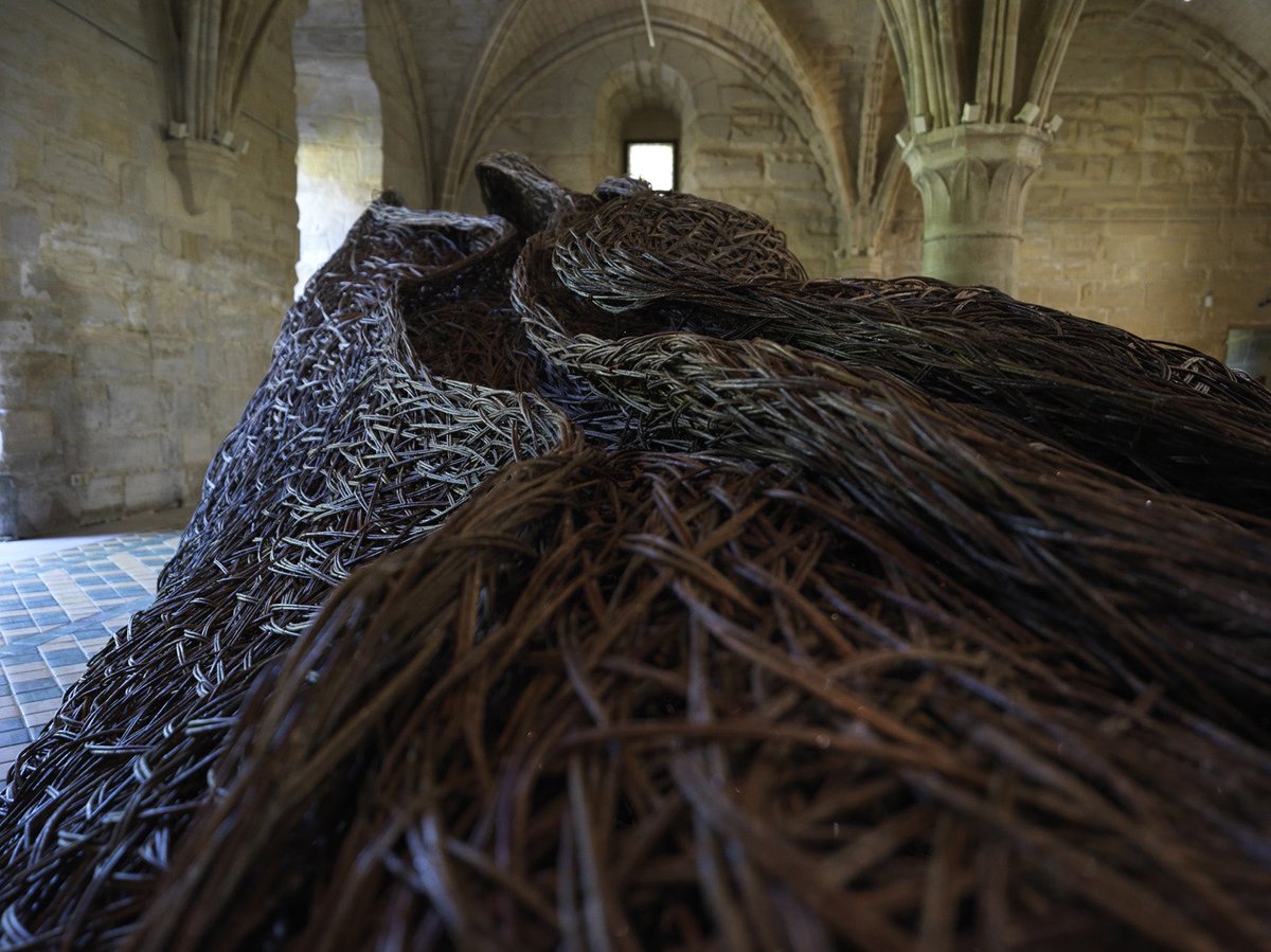 Laura Ellen Bacon tweet media