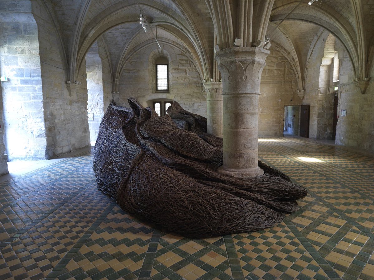 Laura Ellen Bacon tweet media