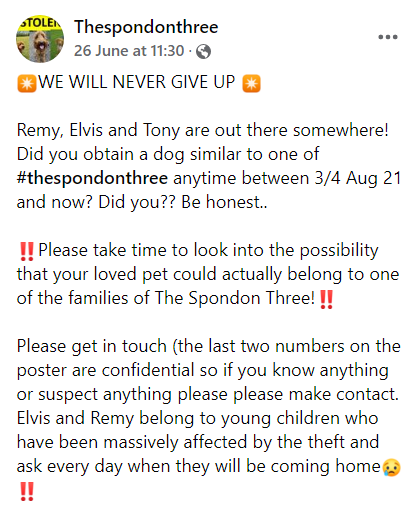 Pawprints Dog Rescue (UK) tweet media