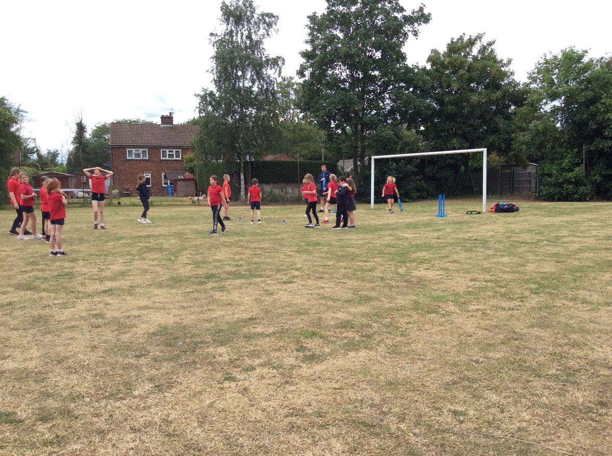 Newton Primary tweet media