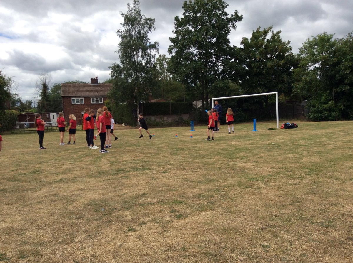 Newton Primary tweet media