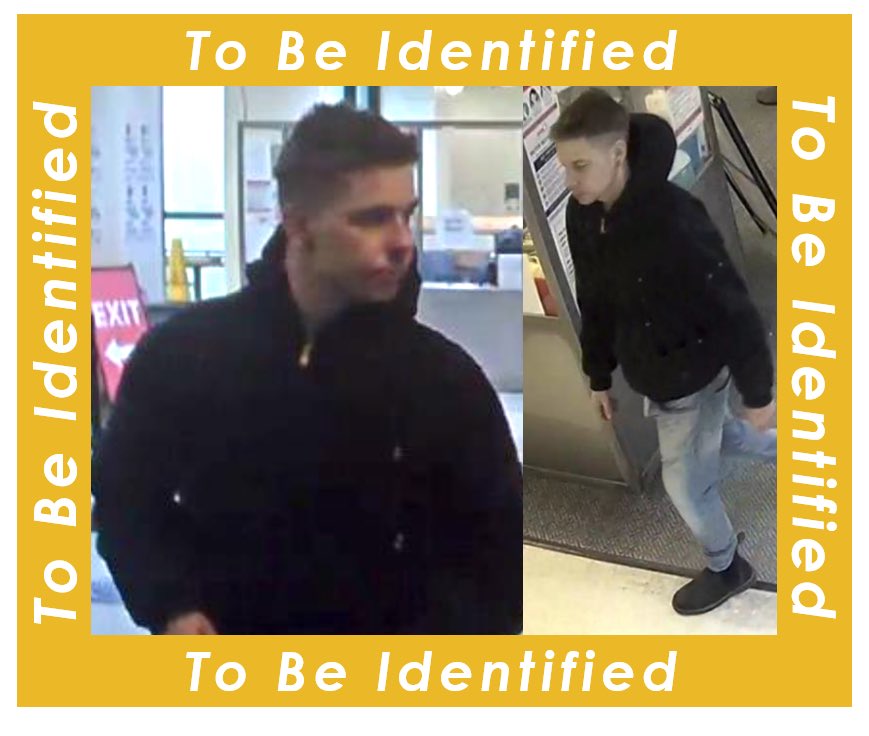 43 Division tweet media