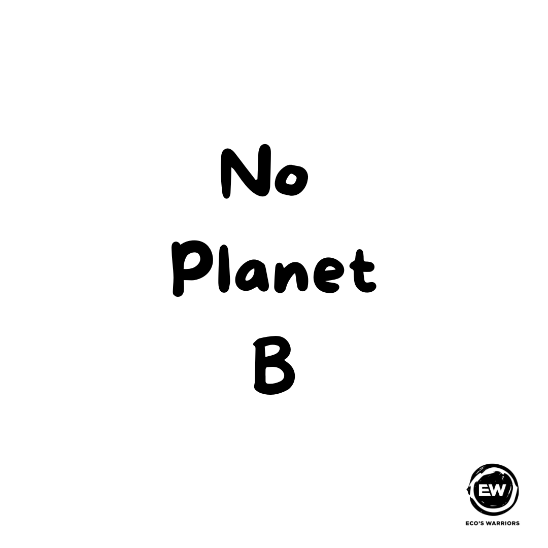 Did you know that 40% of plastic is used for single-use items?🌱
Plastic takes 450-1000 years to decompose, meaning it will be around your whole life! ♻️
#recylce #earthfacts #pollutionfacts #enviromental #enviromentalawareness #ecofriendly #reasonstorecycle #scotlandenviroment