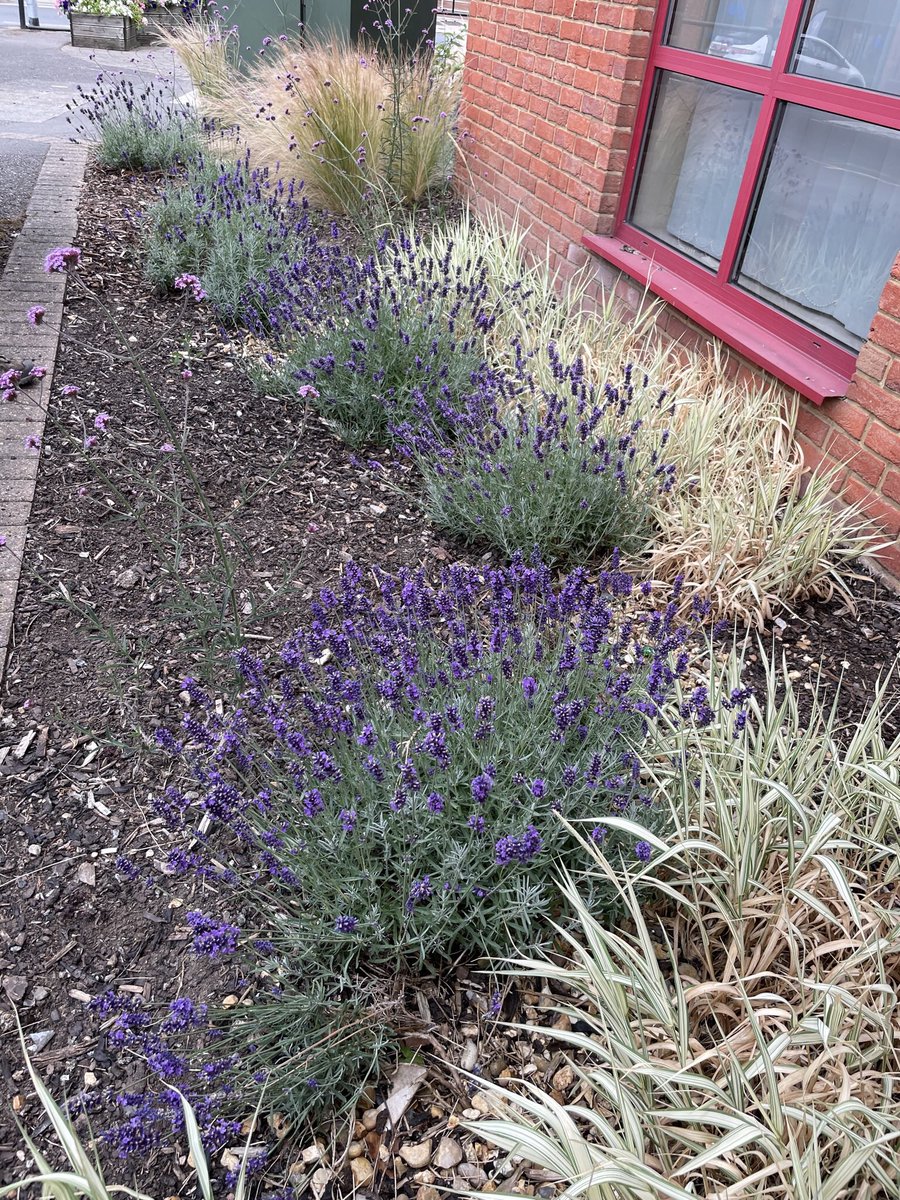 Some lovely visits to <a href="/wokingham_bloom/">Wokingham in Bloom</a> IYN today including new entry <a href="/WokinghamFS/">Wokingham Fire Station</a>,  Cockpit Path garden and the library river of knowledge @RHSBloom #community #gardening #flowers #bloom