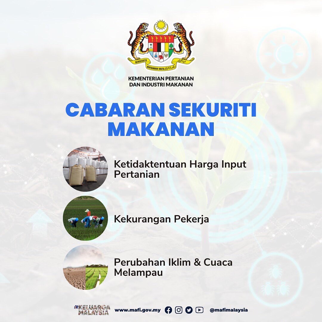 FamaKelantan's tweet photo. Sekuriti makanan merupakan elemen penting yang mempunyai akses fizikal, sosial dan ekonomi kepada makanan yang mencukupi, selamat dan berkhasiat untuk seluruh Keluarga Malaysia

#TeamMAFI
#MAFIMalaysia
#SekuritiMakananUntukMasaDepan https://t.co/nh7ChSelpg