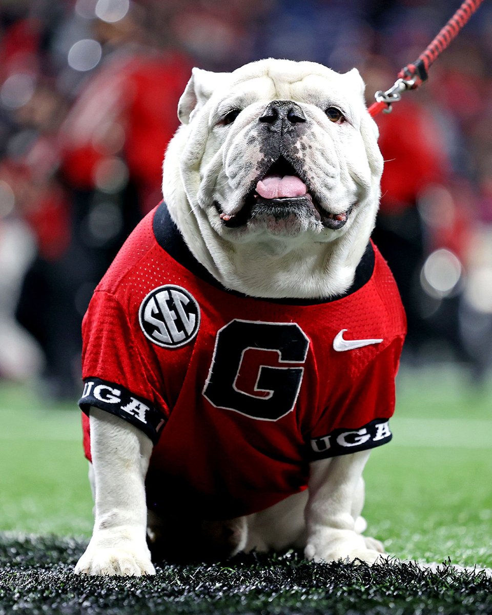 UGAAthletics's tweet photo. Top Dawg. https://t.co/OAi6q7Q0O9