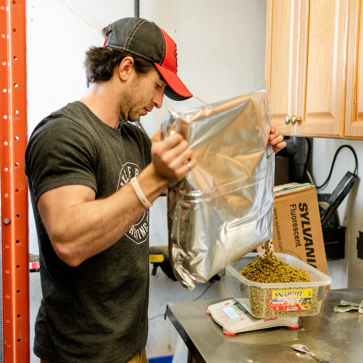 lb_brewing's tweet photo. Tyler is one of our brewers in Baysville, and has been with us since February!
On the weekend you'll catch him enjoying our Tropical Pale Ale, hiking OR you might find him helping out on the patio in Baysville!
We're happy to have you on the team Tyler 🙌
#TeamLOB https://t.co/nip5sYJudD