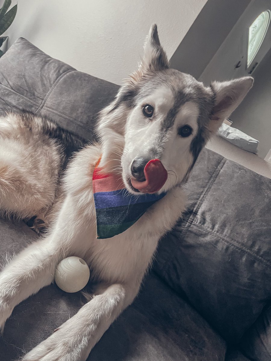 PeritheShepsky tweet picture