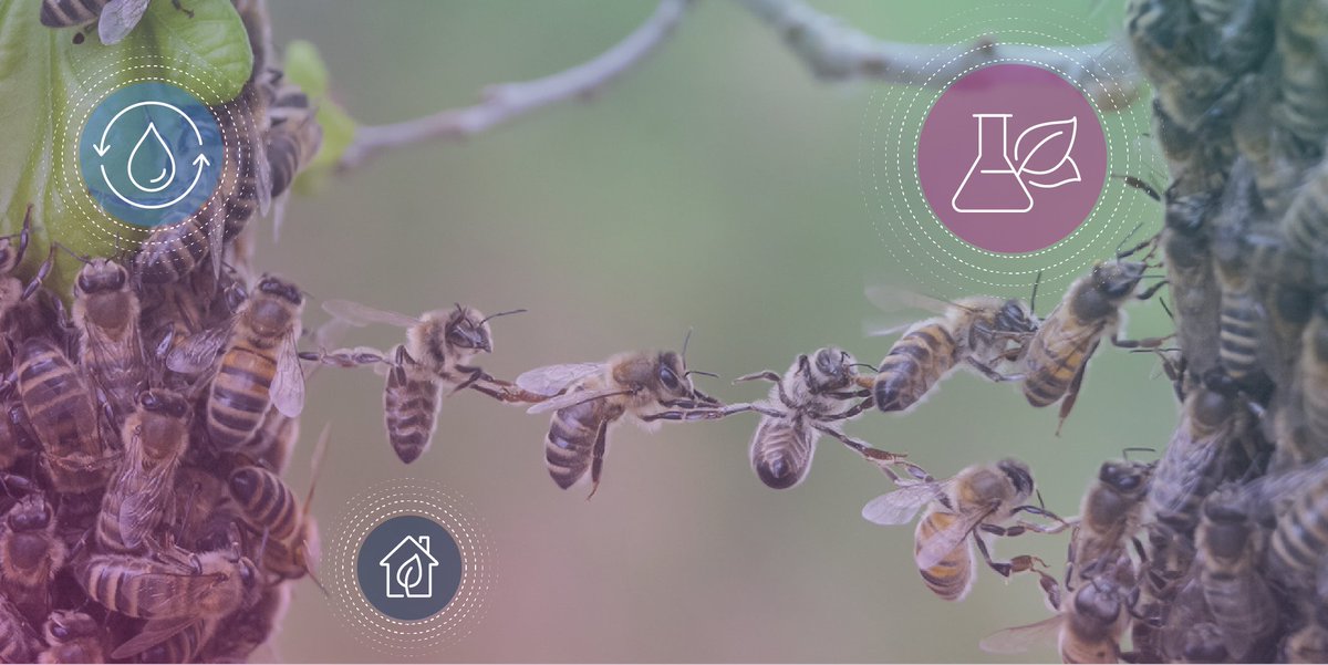 Immersionlab's tweet image. How many businesses can confidently say they genuinely care about each touchpoint they make in the world? It's not from a concern about their image, but rather an awareness that the role they assume is one of leading by example. bit.ly/3HuO4Rb #leadership #Sustainability