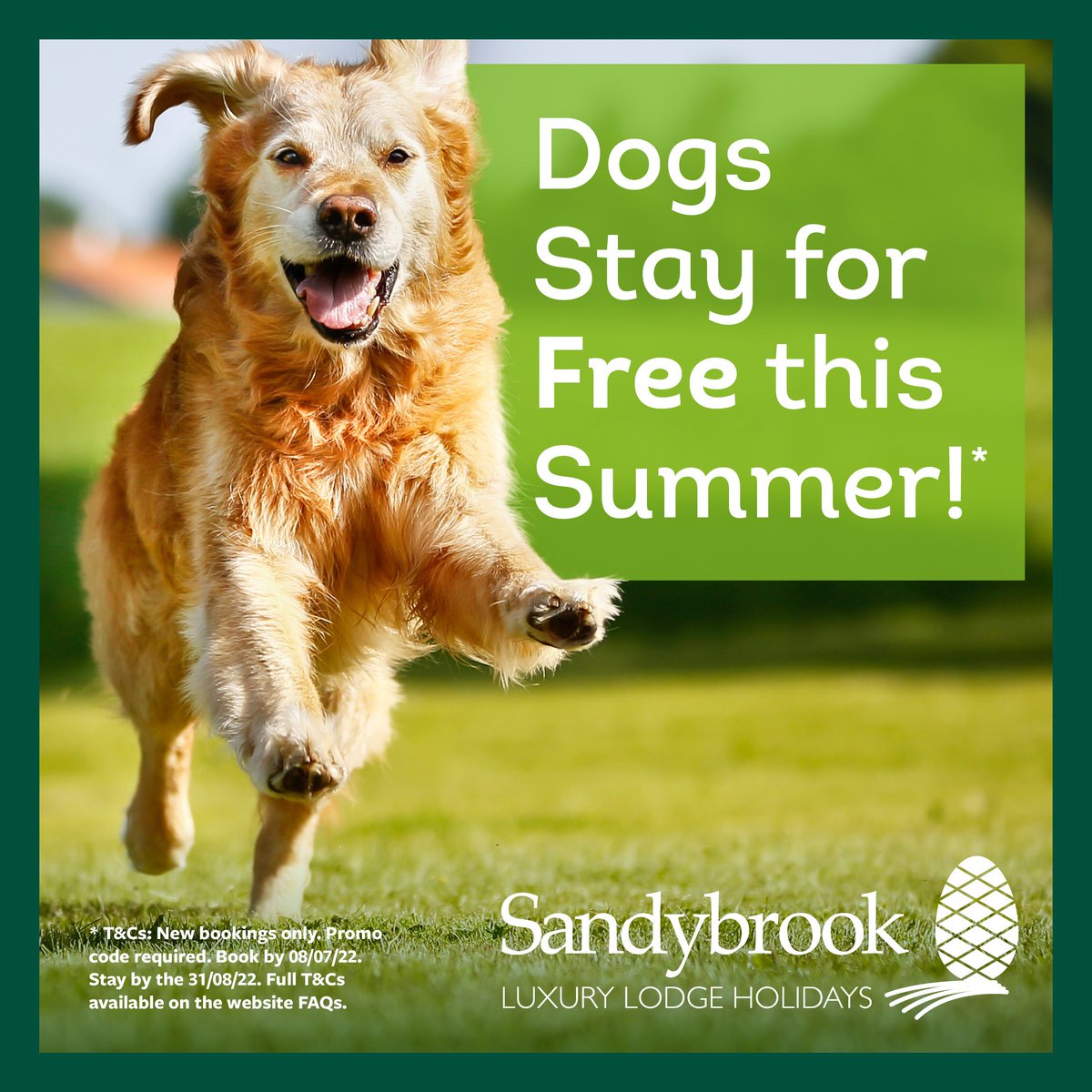 Sandybrook_'s tweet image. Dogs stay for Free!
 
Save £30 on 3 or 4 nights – Discount Code: DOG30
 
Save £45 on 7 nights – Discount Code: DOG45
 
Telephone Reception on 01629 732428 or book via sandybrook.co.uk using the Discount box. (Full T&amp;amp;Cs on the website FAQs.)

@TheGoodDogGuide
