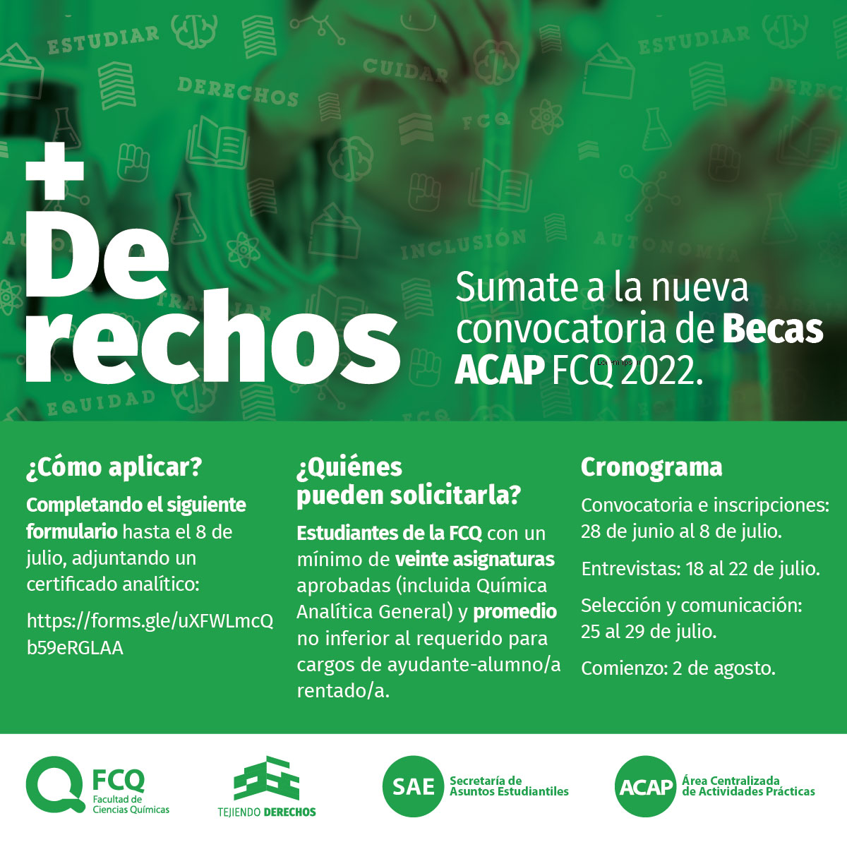 fcqoficial's tweet photo. 📢 Convocatoria #EstudiantesFCQ ⚗️🧪 ¡Sumate a las #BecasACAP! Cierre de inscripción: 8 de julio.
Conocé más e inscribite 👉 https://t.co/Tls6chNIyH https://t.co/5EC4lBWtDQ