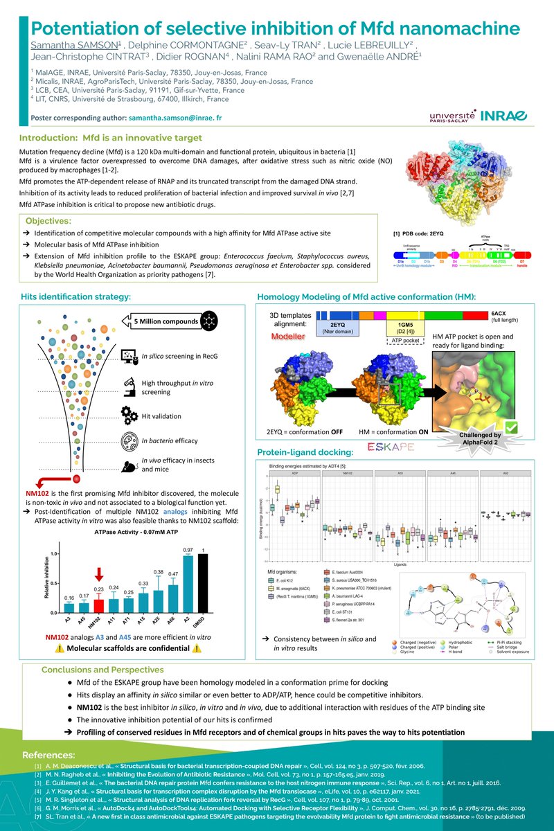 See you on Wednesday at @jobim2022 to discuss with Samantha Samson about Potentiation of selective inhibition of Mfd nanomachine (poster T6.10) #structuralbioinformatics #HomologyModeling #MolecularDocking #AntibioticResistance