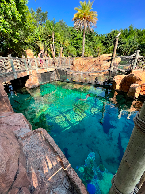 JonesTravels's tweet photo. Spending a day at Discovery Cove! 💦 This is our absolute favorite theme park in Orlando. It is a little expensive, so we do not go often but it is AMAZING! #discoverycove #seaworldparks https://t.co/FNt05ZbtVJ