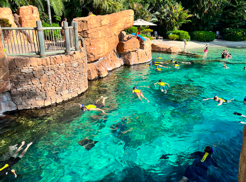 JonesTravels's tweet photo. Spending a day at Discovery Cove! 💦 This is our absolute favorite theme park in Orlando. It is a little expensive, so we do not go often but it is AMAZING! #discoverycove #seaworldparks https://t.co/FNt05ZbtVJ