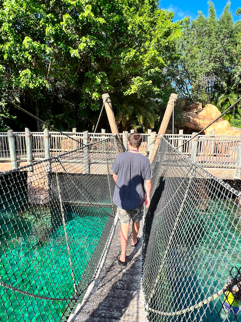 JonesTravels's tweet photo. Spending a day at Discovery Cove! 💦 This is our absolute favorite theme park in Orlando. It is a little expensive, so we do not go often but it is AMAZING! #discoverycove #seaworldparks https://t.co/FNt05ZbtVJ