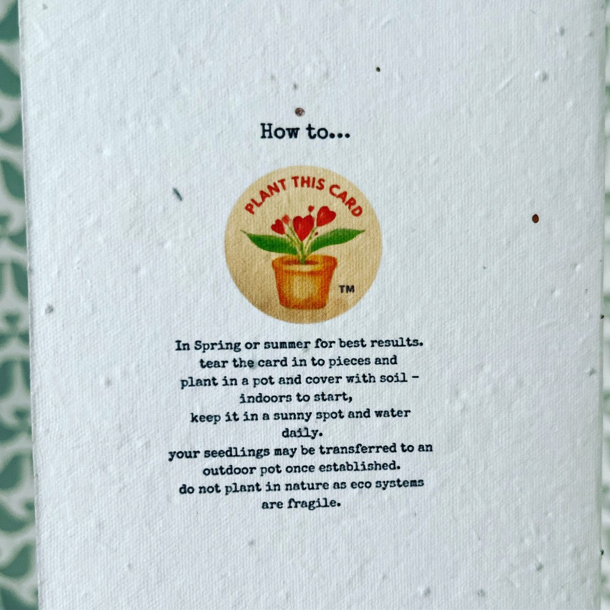 Seeded or luxury ivory card - the choice is yours 🐝🌱🐝🌱🐝 Etsy in bio or plantthiscard.co.uk #mumtobee #plantablecards #ecofriendly #womeninbusiness #sbs #queenof #wow #handpainted #womeninbizhour