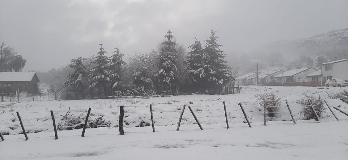 ElChubut's tweet photo. Bellas postales nos regaló Carrenleufú esta mañana 🌨️ https://t.co/HJizOiE8Ro