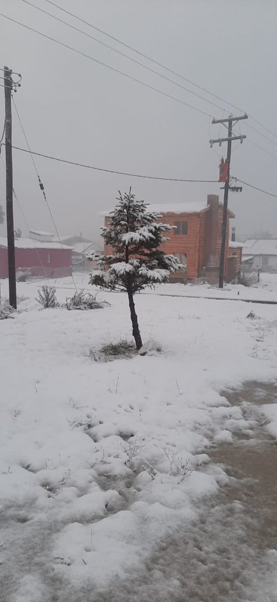 ElChubut's tweet photo. Bellas postales nos regaló Carrenleufú esta mañana 🌨️ https://t.co/HJizOiE8Ro