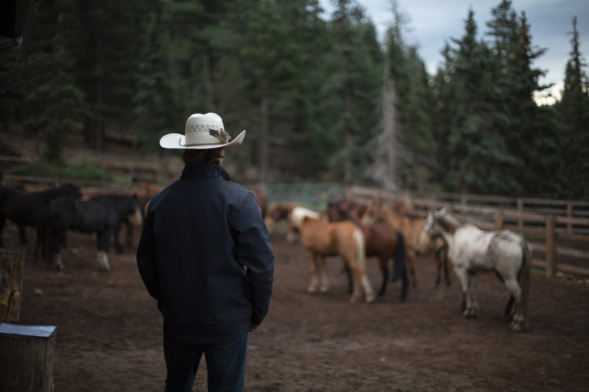 philmont's tweet photo. Beaubien gives participants the opportunity to experience life as a 20th century cowboy. With branding, horse rides, chuckwagon dinner, and a show, the memories you make will last a lifetime!
📸 : Ryan Moore
#philmont #philmontscoutranch #HOmE #IWGBTP #scoutsbsa https://t.co/A03IPM1pmP