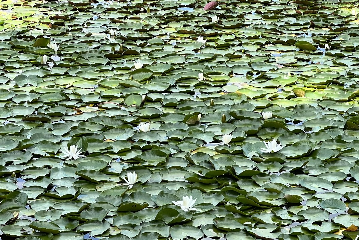 Kim Strassberger tweet media