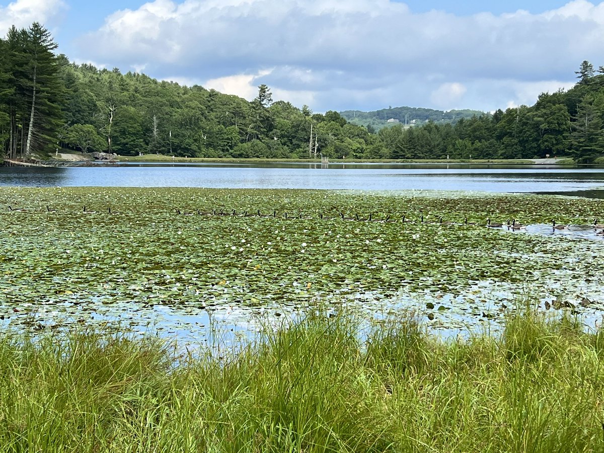 Kim Strassberger tweet media