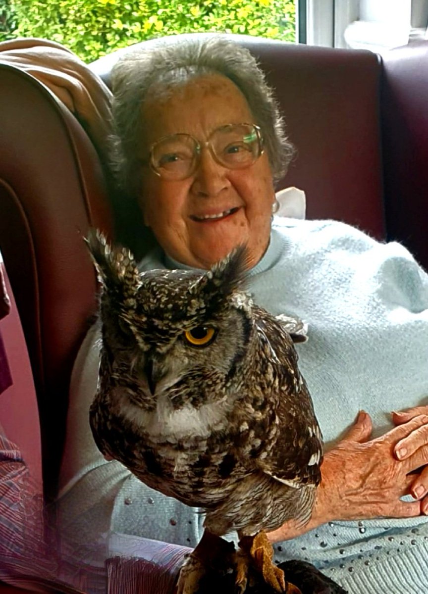 4getMeNotHome's tweet photo. Residents enjoying visit from Birds of Prey.  https://t.co/NWBJdInS1S #birds #carehomesuk #activity https://t.co/QGWGbgWs1J