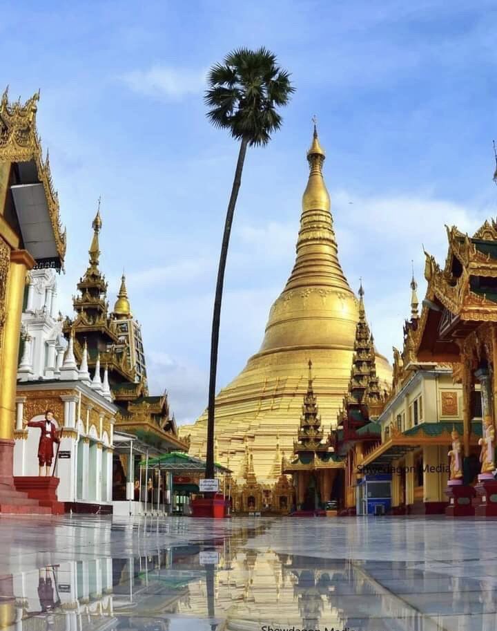 ေလးဆူဓါတ္ပံုေရႊတိဂံုေစတီေတာ္ျမတ္ႀကီးဘုရား🙏🙏🙏