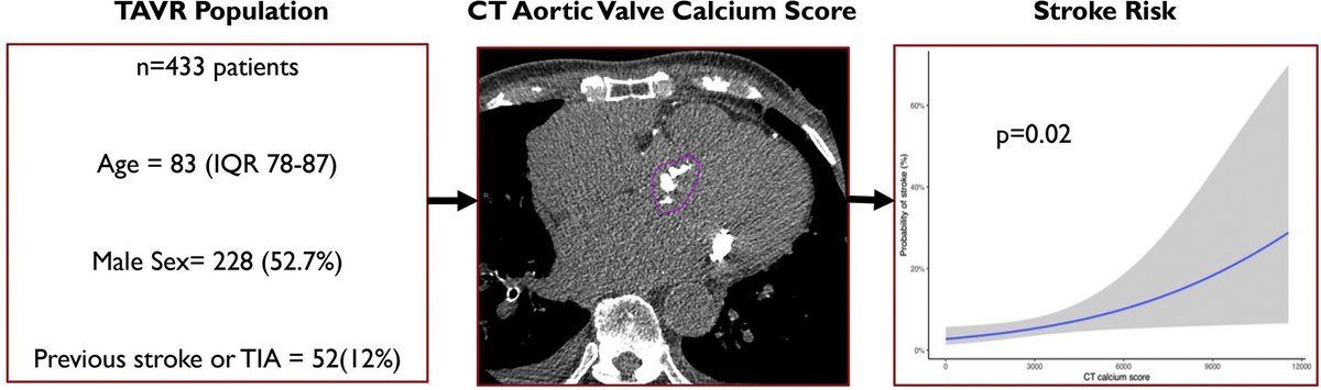 MyJSCAI (@myjscai) on Twitter photo Does a more calcified valve on #yesCCT mean a higher stroke risk in #TAVR?
doi.org/10.1016/j.jsca…
<a href="/DrShaiSen/">Shai Sen</a> <a href="/LCC_DrMalik/">Iqbal Malik</a> <a href="/rallamee/">Rasha Al-Lamee</a> <a href="/MikeFoley89/">Michael Foley</a> <a href="/neilruparelia/">Neil Ruparelia</a> Does a more calcified valve on #yesCCT mean a higher stroke risk in #TAVR?
doi.org/10.1016/j.jsca…
<a href="/DrShaiSen/">Shai Sen</a> <a href="/LCC_DrMalik/">Iqbal Malik</a> <a href="/rallamee/">Rasha Al-Lamee</a> <a href="/MikeFoley89/">Michael Foley</a> <a href="/neilruparelia/">Neil Ruparelia</a>