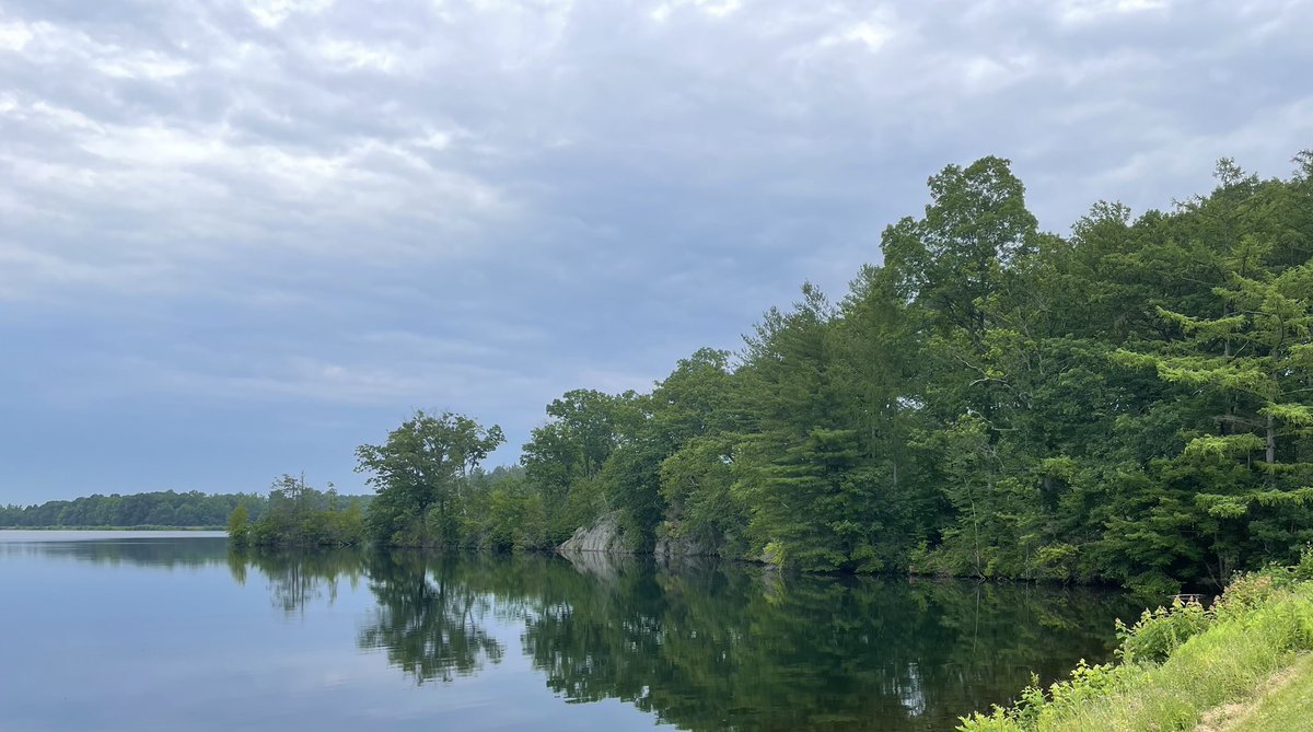 #NurtureNature because #NatureNurtures 

Tuesday’s Trek had cloud coverage but it wonderful nonetheless…we saw 2 bears (not photographed cuz I was walking QUICKLY away😂), wild Black-eyed Susans and a beautiful Monarch. 

#wtpBLUE #ONEV1 #DemVoice1