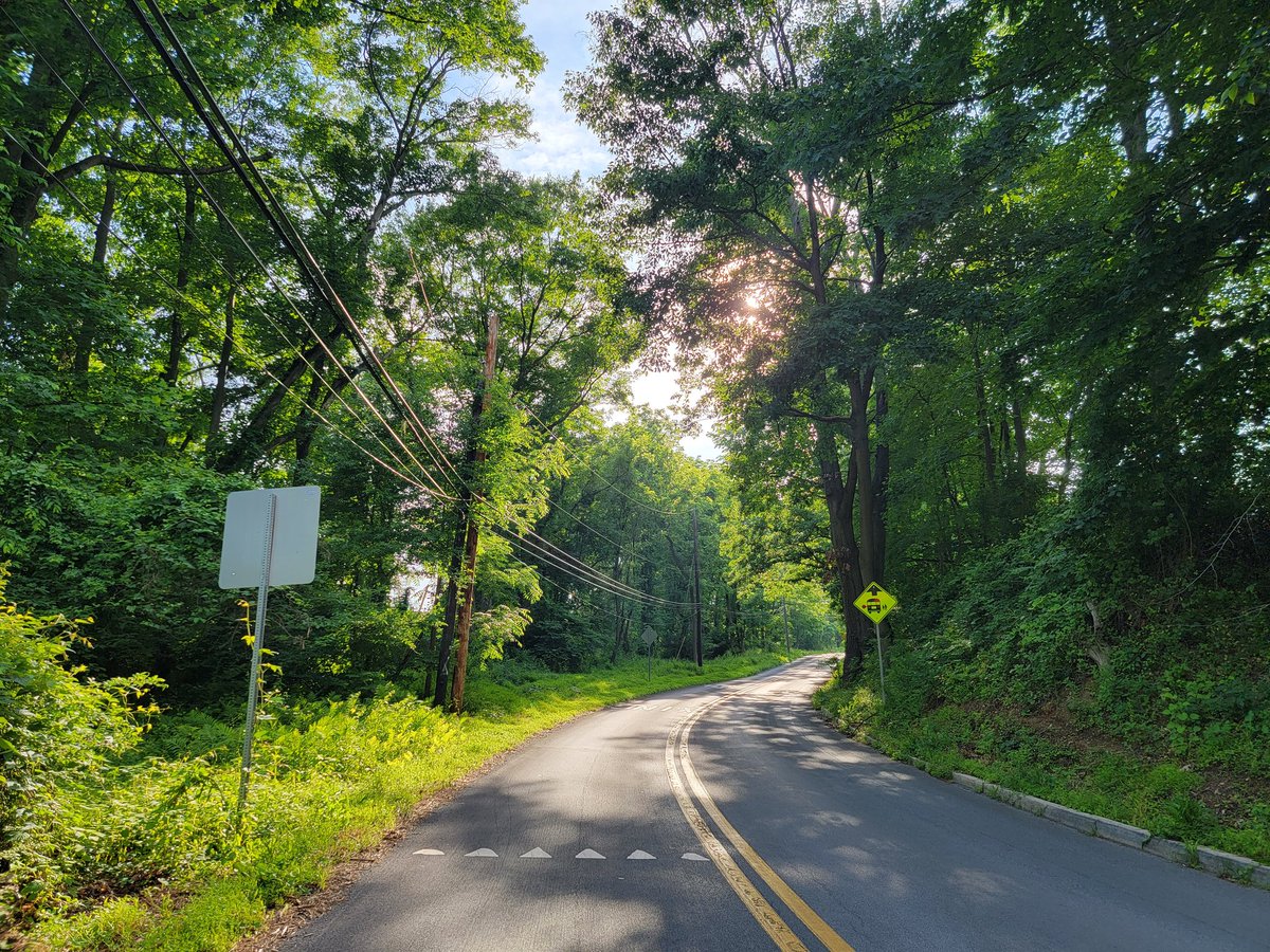 spitonyounow's tweet image. I dont tweet much but im super proud of this photo i took..so here it is #galaxys21ultra #shotonmyphone #photography