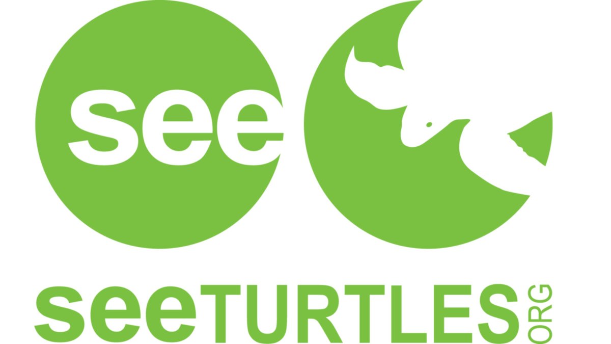 DotsEco's tweet image. 🐢We are thrilled to have recently partnered with SEE Turtles, an organization dedicated to helping save sea turtles. 

Curious about some of the wonderful work they do?  Click here to check out their website 👉 seeturtles.org.

#SEETurtles #dotseco