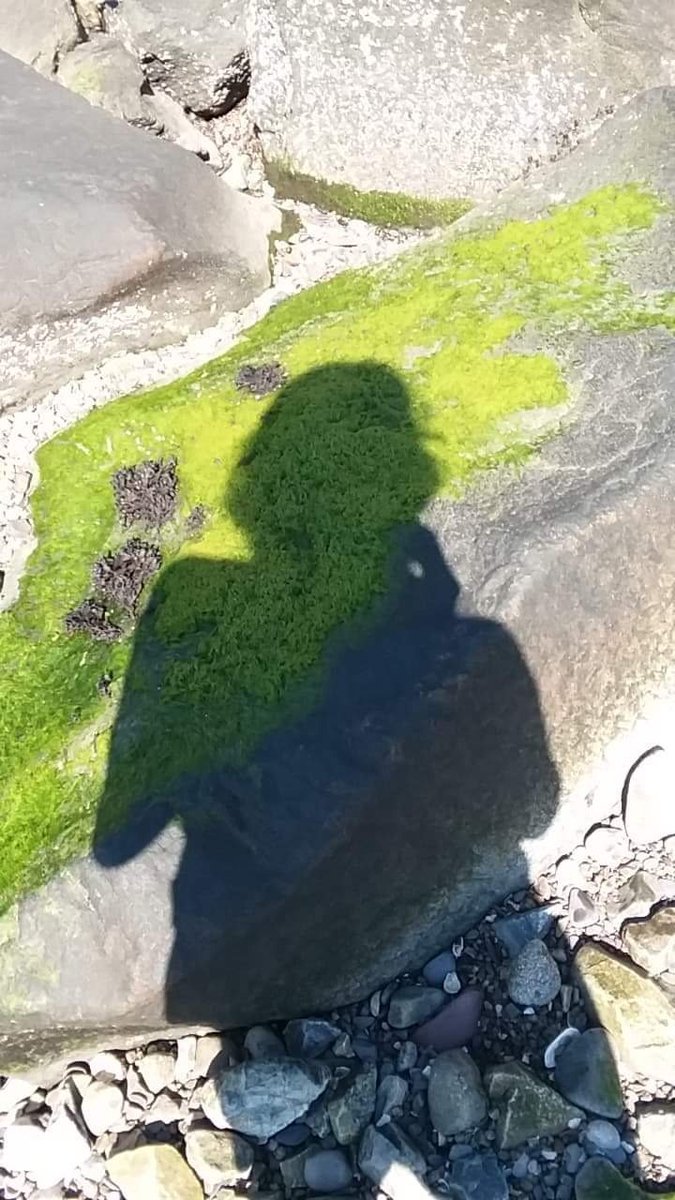 KinderWrites's tweet photo. #Selfie at #ColtStatePark #RhodeIsland
#photography #oceanlife #oceanside #ocean #silhouette #shadow #rocks #beach https://t.co/9rlxjilxVY