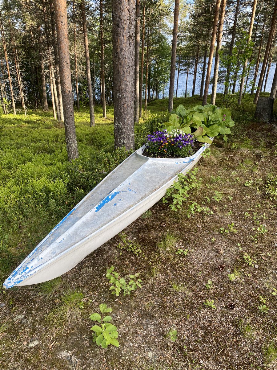 Edesmenneen olympiavoittajan ja maailmanmestarin harjoitusväline, joka sittemmin oli minun käytössä. Nykyään hyötykäytössä äitini kukkapenkkinä #soutu #haapajärvi #posionjärvi